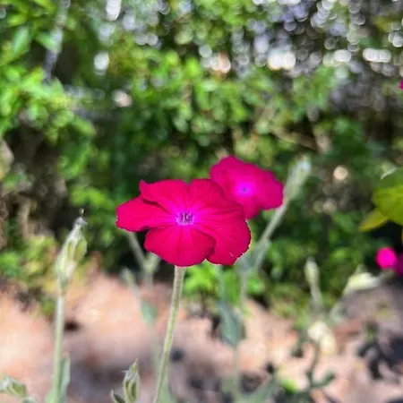 Ośrodek wypoczynkowy Polana - Pobierowo