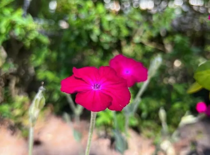 리조트 Polana - Pobierowo